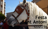 fotogaleria_festa_sant_antoni_12_01_14