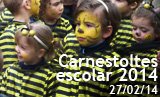 fotogaleria_carnestoltes_2014