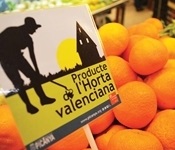 producte_horta_valenciana_01