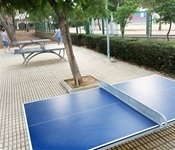 taules_ping_pong