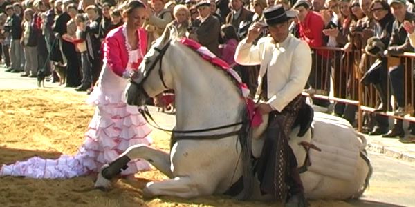 Festa de Sant Antoni