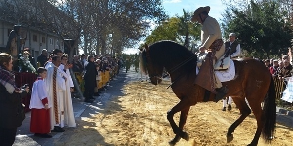 Festa de Sant Antoni este proper diumenge 13 de gener