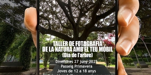 taller_fotografia_arbres