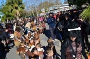 Carnestoltes escolars 2013 DSC_0022